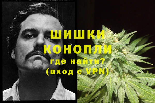 герыч Ельня