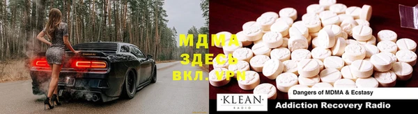 PSILOCYBIN Дмитриев