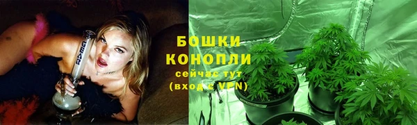амф Алапаевск