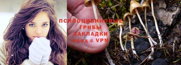 ГАЛЛЮЦИНОГЕННЫЕ ГРИБЫ Алагир