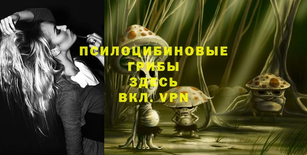 PSILOCYBIN Дмитриев