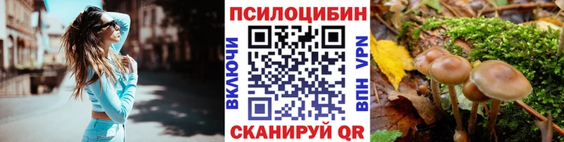 Псилоцибиновые грибы Psilocybine cubensis  кракен зеркало  Духовщина  купить  цена 